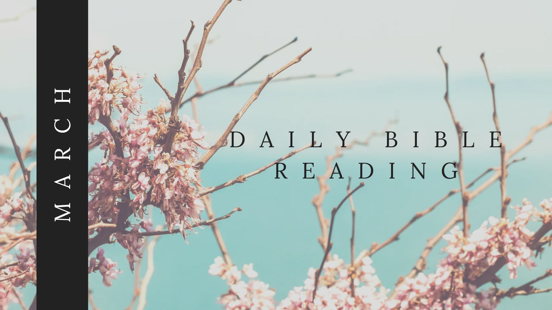 PWC_Daily_Bible_Reading_March